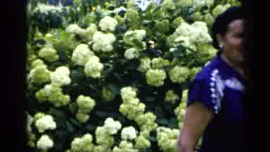 New York (1948): Woman In Blue Surrounded By Flowers