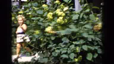 New York (1948): Girl Wearing White Dress Stands Next Yellow Blooming Rosebush On