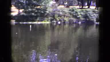 New York (1948): A Lot Of Grass Trees And Some Beautiful Flowers Around