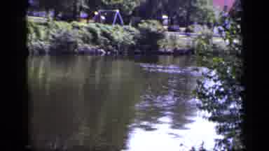 New York (1948): A Group Of People Video Recording A Lake During The Day To See