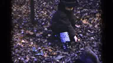 New York (1948): Little Boy Succeeds At Feeding Squirrel And Not Getting Bitten