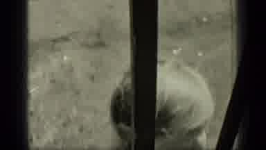 New York (1949): Little Girl Is Ready To Get Out Of The Pool And Come Inside The