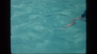 New York (1957): People Swimming At The Public Pool In The Summertime
