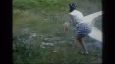 New York (1957): Vintage Video Of The Family Dog Visiting The Park For The First