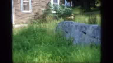 New York (1957): Dog Running In A Yard And Chasing A Woman And A Child On A
