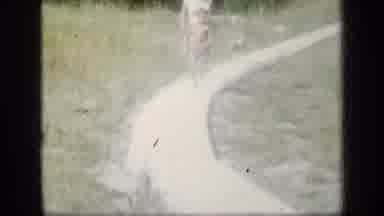 New York (1957): Child And Dog Running Down The Sidewalk Racing Each Other