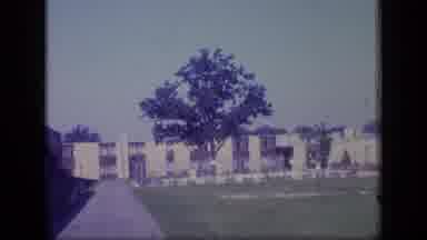 New Jersey (1970): Tree On A Lawn Against White Structures And Blue Sky In