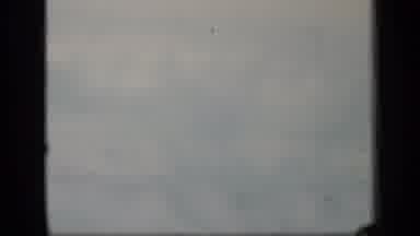 Puerto Rico (1970): Aerial View With Fog Of Tall Pines At The Edge Of A Lake