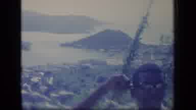 Puerto Rico (1970): Natural View Of Animals And Birds Roaming And Grazings Around