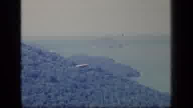 Puerto Rico (1970): Forest Scenery Documentary With A Sudden Glimpse Of A Wild