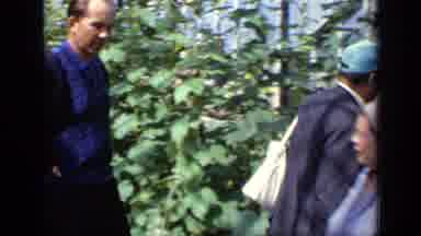 Moscow Russia (1971): People In A Greenhouse Are Walking Around And Looking At