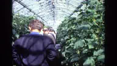 Moscow Russia (1971): Man Wearing Black Jacket Walks Through Greenhouse On A