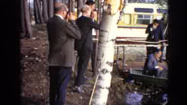 Moscow Russia (1971): Men In Suits Studying Cutting Down A Tree In The Forest