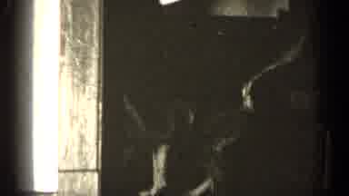 Illinois USA (1947): A Puppy Dog Eagerly Sniffs From Room To Room Searching For