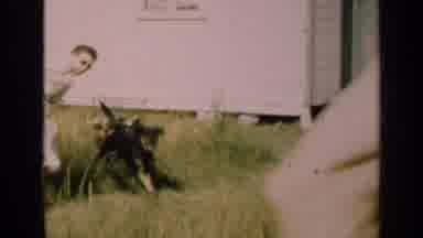 Illinois USA (1947): Black And Brown Dog Runs Through Tall Grass On A Bright Sunny