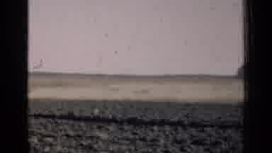 Illinois USA (1947): Slow-Panning Video Shows Mostly Empty Horizon And Small