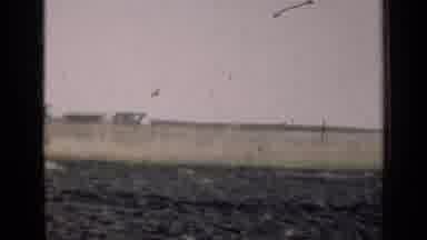 Illinois USA (1947): Video Photography Over Open Farmland