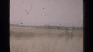 Illinois USA (1947): A Man Out In The Field Raking Grass Around Buildings