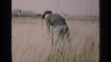 Illinois USA (1947): Shaky Footage Of A Man In A Field Doing Work