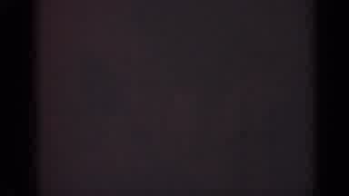 Illinois USA (1947): Vague Dark Shapes On A Grey Background Evoke The Loch Ness