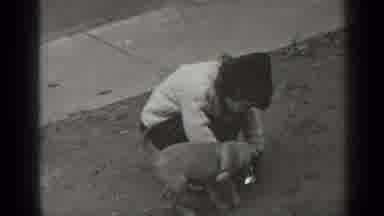 New York (1947): Girl Wearing White Sweater Plays With Small Dog On A Cloudy Day