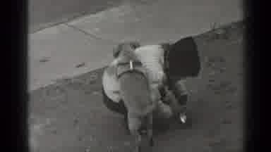 New York (1947): Kid Playing With The Dirt As Dog Jumps On Him
