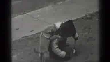 New York (1947): Kid Shoveling Dirt From His Sidewalk As Dog Jumps All Over Him