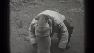 New York (1947): Puppy Climbs All Over The Little Girl As She Squats Down On The