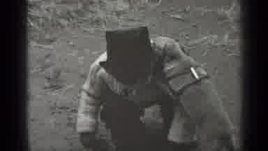 New York (1947): Dog Playing With Kid As He Bends Down Trying To Pick Something Up