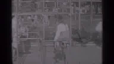 New York (1947): Child Gets Organized On Climbing Fixture Then Begins Her Moves