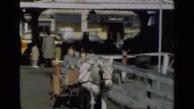 New York (1947): A Little Boy Is Smiling And Two The Little Kids Are In A Horse