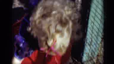 New York (1950): Little Girl With Curly Hair In A Red And Blue Dress Playing With