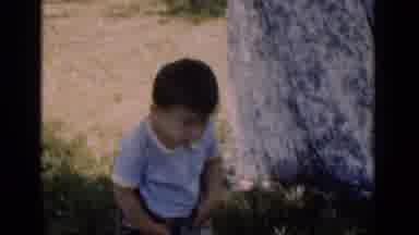 New York (1951): A Small Boy Who Wants To Go For A Pee Near A Tree
