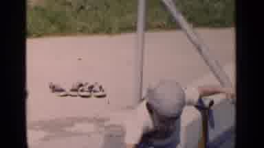 New York (1951): Little Boy Descends Steps To Put Something In The Water