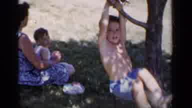 New York (1951): Boy Hangs From Limb Then Puts Both Feet Up On Tree Trunk