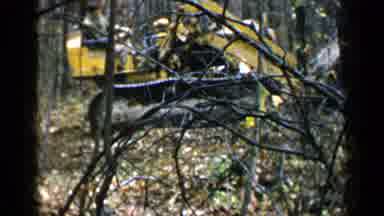 Who needs trees when you can have towering pillars of industry?