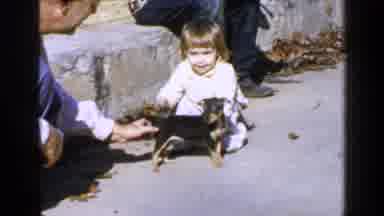 Birmingham Alabama (1957): A Young Girl And A Young Dog Being Tapped Repeatedly