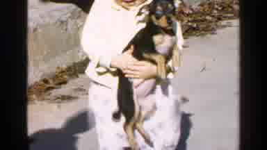 Birmingham Alabama (1957): Toddler Running Chasing Small Black And Brown Chihuahua