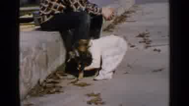 Birmingham Alabama (1957): Girl Picks Up Dog Then Puts It Back Down Gently