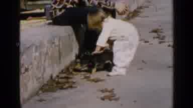 Birmingham Alabama (1957): A Little Girl Playing With Her Dog On The Curb A Man Is