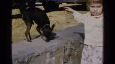 Birmingham Alabama (1957): Little Girl Plays With Dog As The Men Carry In Piles Of