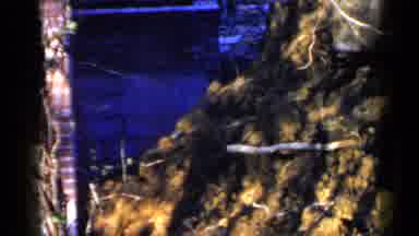 Birmingham Alabama (1957): A Bulldozer Shoveling Dirt Into A Pile By A House Being