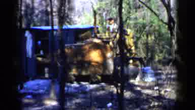 Birmingham Alabama (1957): Man Working In The Dense Forest With A Digger Shovel