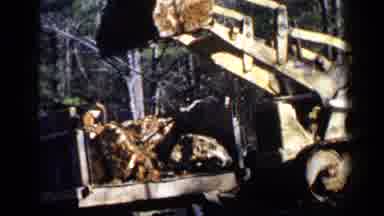 Birmingham Alabama (1957): A Front End Loader In The Trees Loading Debris Into A