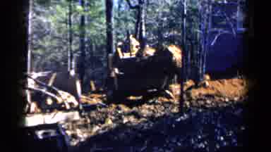 Birmingham Alabama (1957): A Bulldozer Dismantles Home Deep In A Heavily Wooded