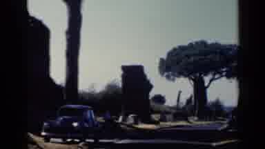 Rome Italy (1960): A Car Being Driven Towards A Very Large And Tall Tree