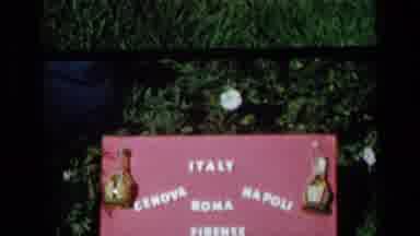 Venice Italy (1960): A Scenery Of Trees Then Cuts To A The Street With A Flag And