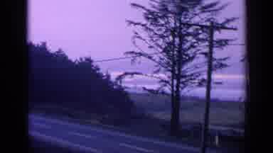 California USA-1963: Coastal Road Drive With Trees And Purple Sky