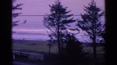 California USA-1963: A View Of Trees And Grass Next To A Lake