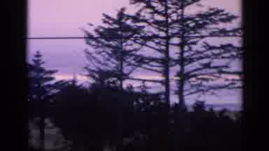 California USA (1963): View Of Ocean And Green Trees On A Clear Day